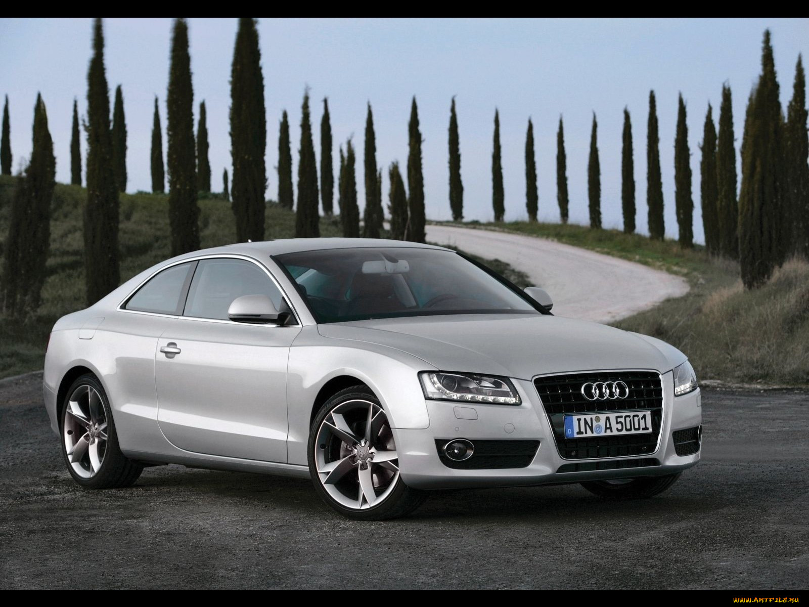 , audi